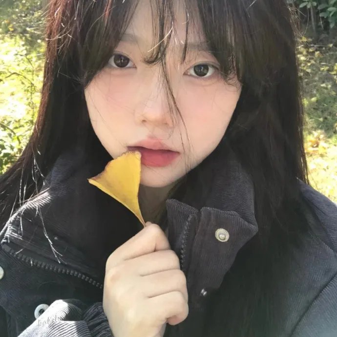你和我的小情歌